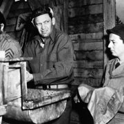 Stalag 17 - galeria zdjęć - filmweb