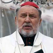 Ślub doskonały - galeria zdjęć - filmweb