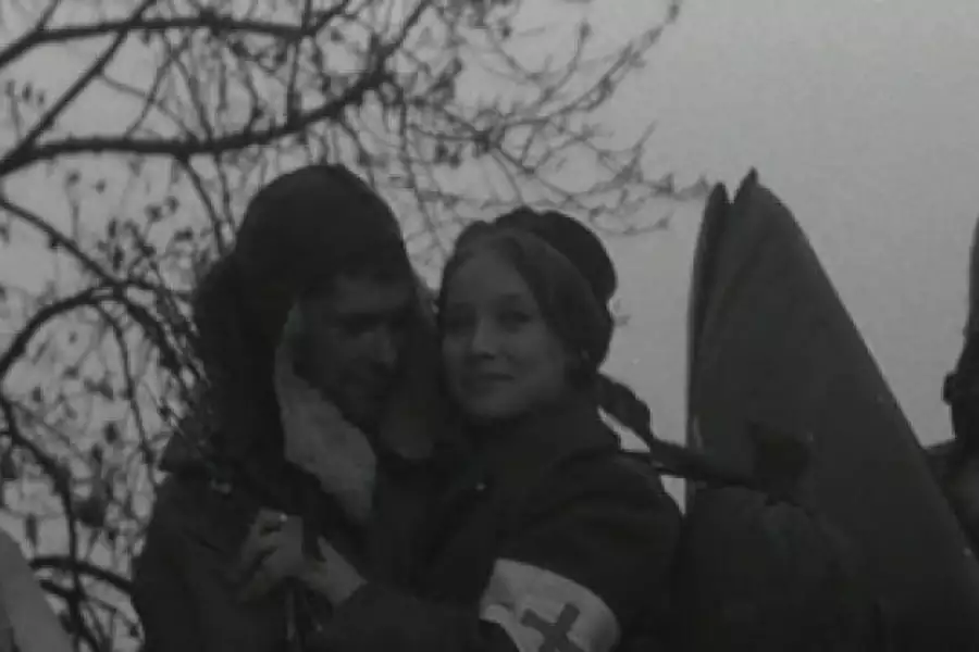 Czterej pancerni i pies - galeria zdjęć - filmweb