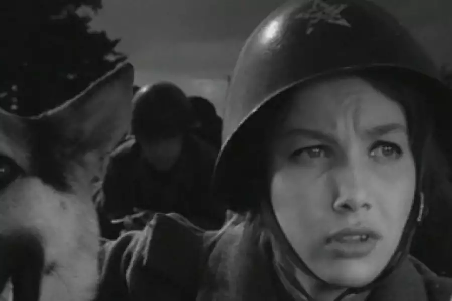 Czterej pancerni i pies - galeria zdjęć - filmweb