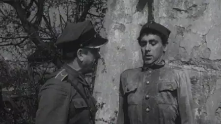 Czterej pancerni i pies - galeria zdjęć - filmweb