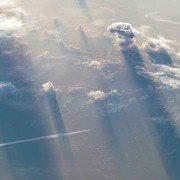 The Narrow World - galeria zdjęć - filmweb