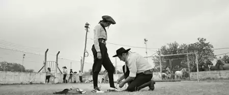Gaucho Gaucho - galeria zdjęć - filmweb