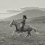Gaucho Gaucho - galeria zdjęć