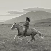 Gaucho Gaucho - galeria zdjęć - filmweb
