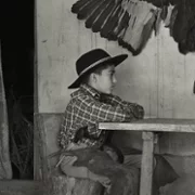 Gaucho Gaucho - galeria zdjęć - filmweb