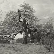 Gaucho Gaucho - galeria zdjęć - filmweb