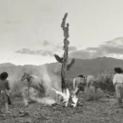 Gaucho Gaucho - galeria zdjęć - filmweb