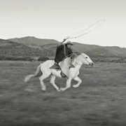 Gaucho Gaucho - galeria zdjęć - filmweb