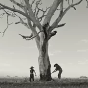 Gaucho Gaucho - galeria zdjęć - filmweb