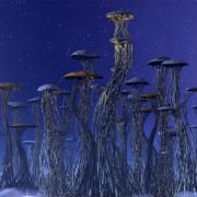 Terra - galeria zdjęć - filmweb
