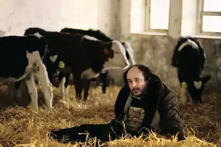 Czeski numer - galeria zdjęć - filmweb
