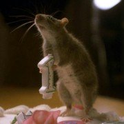 Dr. Dolittle 2 - galeria zdjęć - filmweb