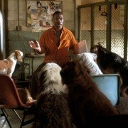 Dr. Dolittle 2 - galeria zdjęć - filmweb