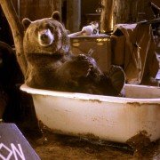 Dr. Dolittle 2 - galeria zdjęć - filmweb