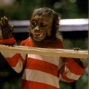 Dr. Dolittle 2 - galeria zdjęć - filmweb