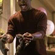 Dr. Dolittle 2 - galeria zdjęć - filmweb