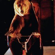 Dr. Dolittle 2 - galeria zdjęć - filmweb