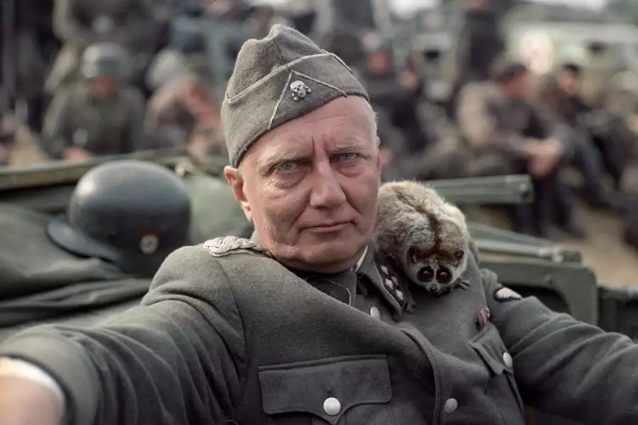 Idź i patrz - galeria zdjęć - filmweb