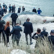 Scheda - galeria zdjęć - filmweb