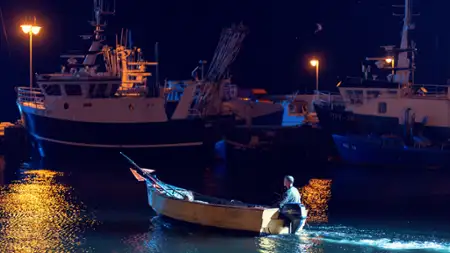 Scheda - galeria zdjęć - filmweb