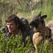 Gwiazdozbi&oacute;r Psa - galeria zdjęć - filmweb