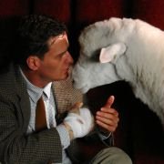 Black Sheep - galeria zdjęć - filmweb