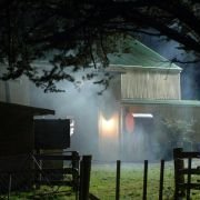 Black Sheep - galeria zdjęć - filmweb