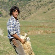 Black Sheep - galeria zdjęć - filmweb