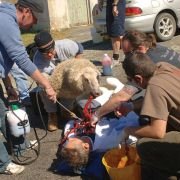 Black Sheep - galeria zdjęć - filmweb
