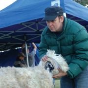 Black Sheep - galeria zdjęć - filmweb