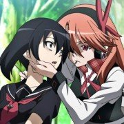Akame ga Kill! - galeria zdjęć - filmweb