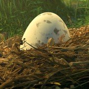 PLOEY - You Never Fly Alone - galeria zdjęć - filmweb