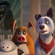 Pets United - galeria zdjęć - filmweb