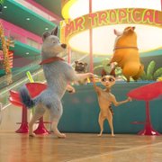 Pets United - galeria zdjęć - filmweb