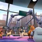 Pets United - galeria zdjęć - filmweb