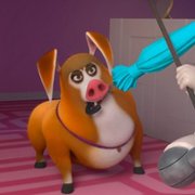 Pets United - galeria zdjęć - filmweb