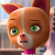 Pets United - galeria zdjęć - filmweb