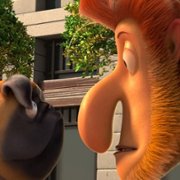 Pets United - galeria zdjęć - filmweb
