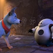 Pets United - galeria zdjęć - filmweb