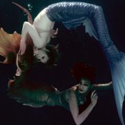 Syreni biznes - galeria zdjęć - filmweb