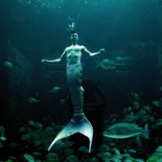 MerPeople - galeria zdjęć - filmweb