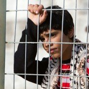 Zaytoun - galeria zdjęć - filmweb