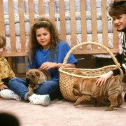 Full House - galeria zdjęć - filmweb