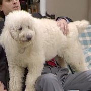 Full House - galeria zdjęć - filmweb