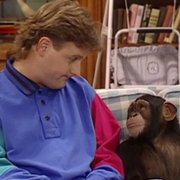 Full House - galeria zdjęć - filmweb