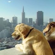 Full House - galeria zdjęć - filmweb