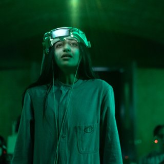 Iris