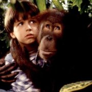 Małpa w hotelu - galeria zdjęć - filmweb