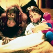 Małpa w hotelu - galeria zdjęć - filmweb